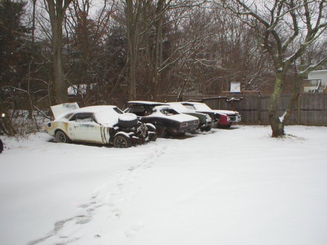 chevelless3960022.jpg