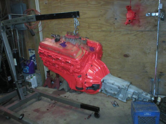 chevelless3960063.jpg