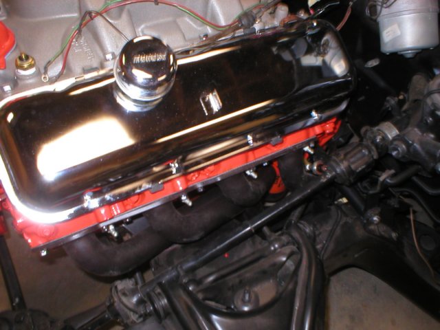chevelless3960103.jpg