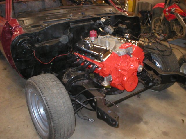 chevelless3960123.jpg