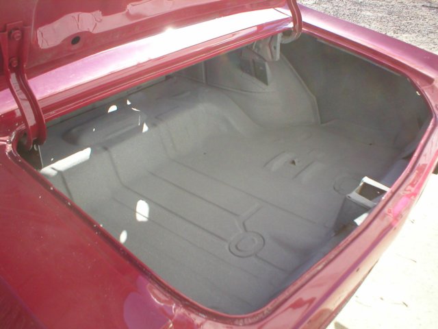 chevelless396019.jpg