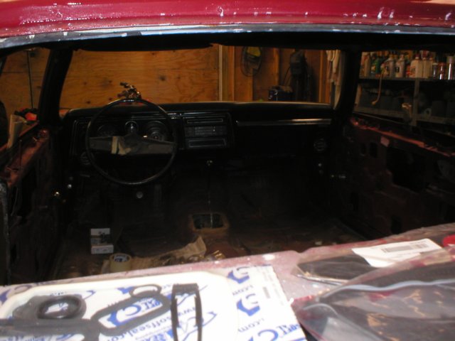 chevelless396025.jpg