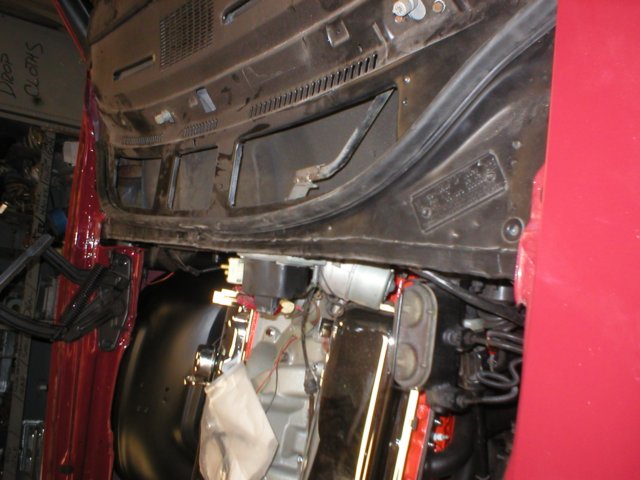 chevelless396072.jpg