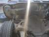 picture047_small.jpg