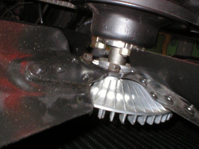ss3960072.jpg