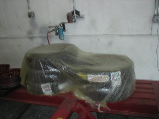 ss3960222.jpg