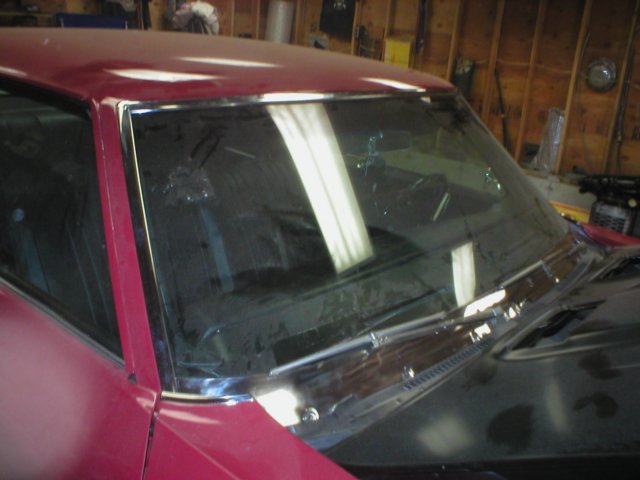 ss396051.jpg
